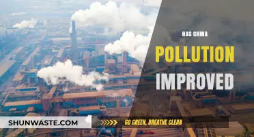 China's Pollution: Has the Situation Improved?