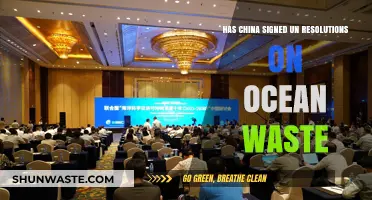 China's Role in UN Ocean Waste Resolutions: What’s the Status?