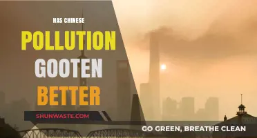 China's Pollution: Better or Worse?
