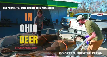 Chronic Wasting Disease Detected in Ohio Deer: What You Need to Know