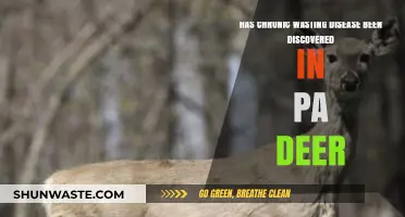 Chronic Wasting Disease Detected in Pennsylvania Deer: What You Need to Know