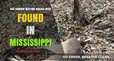 Chronic Wasting Disease Detected in Mississippi: What You Need to Know