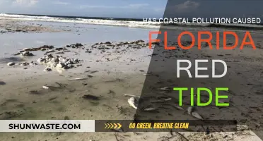 Coastal Pollution: A Catalyst for Florida's Red Tide Crisis