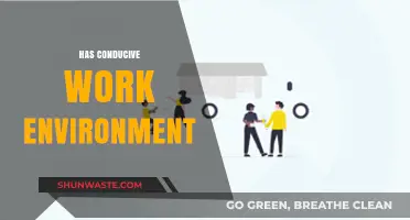 Fostering Productivity: The Impact of a Conducive Work Environment