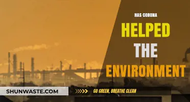 Corona's Silver Lining: How the Pandemic Impacted Our Environment