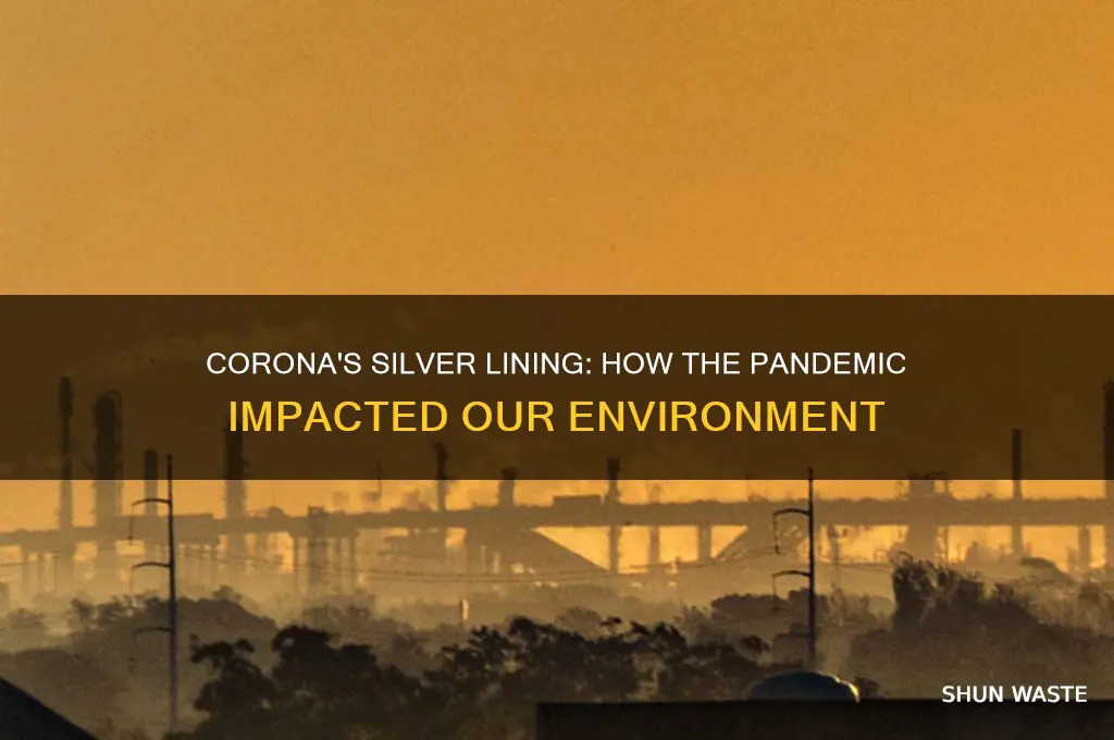 has corona helped the environment