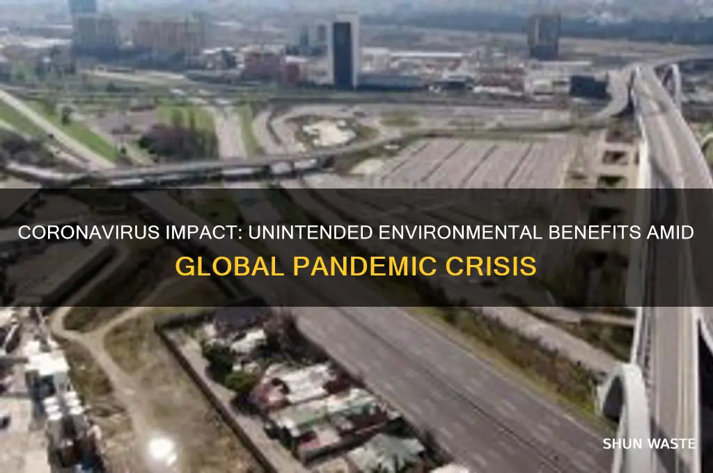 has coronavirus been good for the environment
