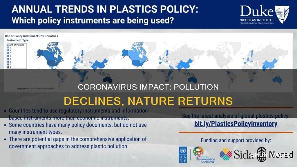 has coronavirus helped pollution