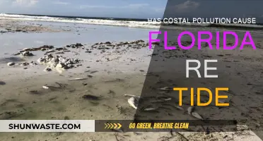 Coastal Pollution's Impact: Florida's Rising Tides and Environmental Concerns