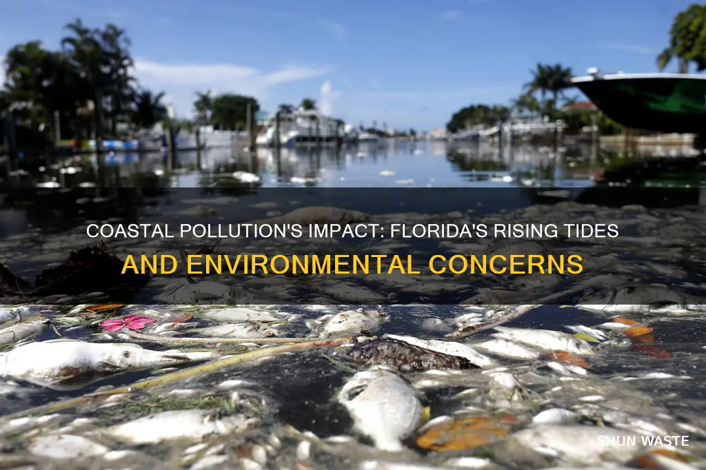 has costal pollution cause florida re tide