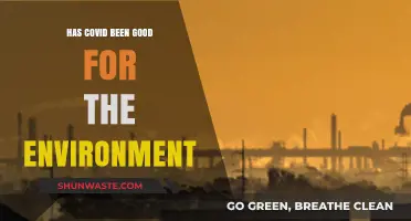 COVID's Silver Lining: Unintended Environmental Benefits of the Pandemic