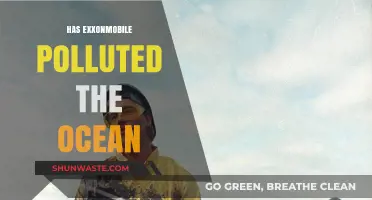 ExxonMobil's Ocean Pollution: An Environmental Disaster