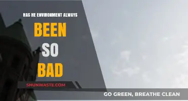 Has Our Environment Always Been This Bad? A Historical Perspective