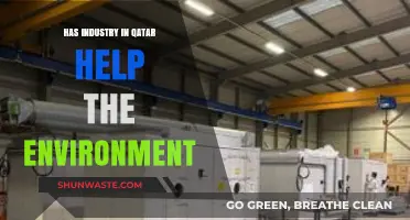 Qatar's Industrial Growth: Environmental Impact and Sustainability Efforts