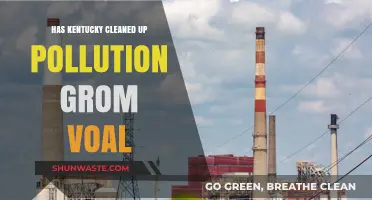 Kentucky's Pollution Cleanup: A Breath of Fresh Air?
