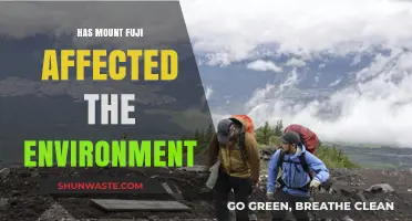 Mount Fuji's Environmental Impact: A Delicate Balance in Nature