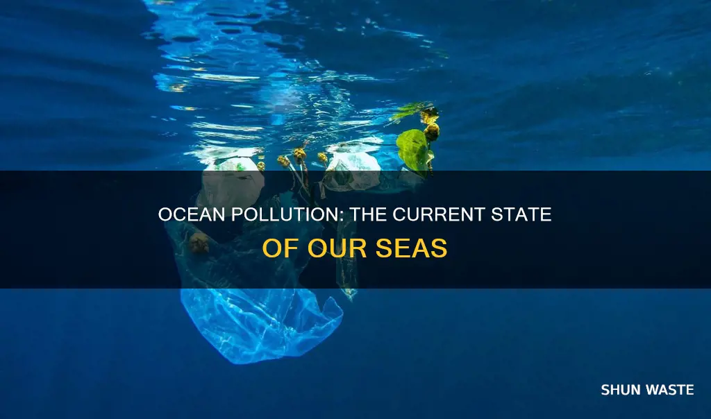 has much pollution is in the ocean right now