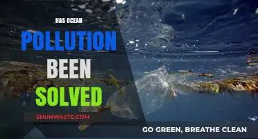 Ocean Pollution: Solved or Still a Problem?