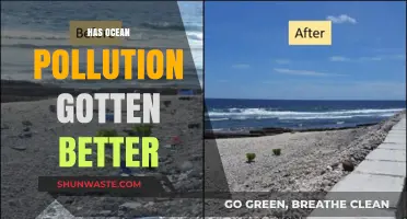 Ocean Pollution: Is There a Silver Lining?
