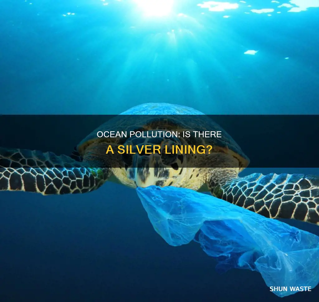 has ocean pollution gotten better
