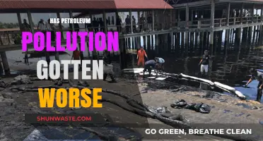 The Dark Side of Petroleum: Pollution's Growing Threat