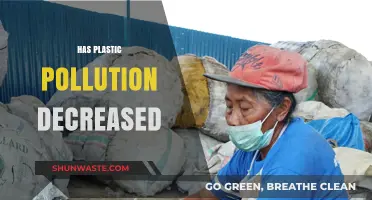 The War on Plastic Pollution: Has It Decreased?
