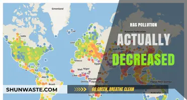 The Pollution Paradox: Has the World Got Cleaner?