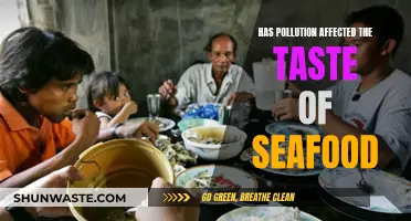 How Pollution Impacts the Taste of Seafood