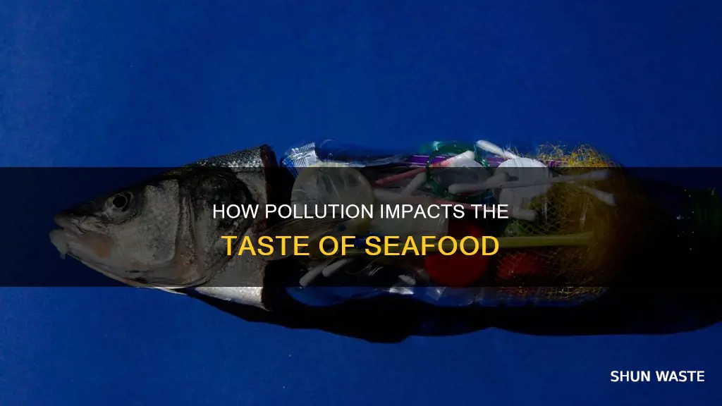 has pollution affected the taste of seafood