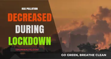 Lockdown's Impact: Pollution Levels Plummet