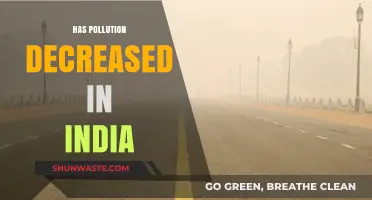 India's Pollution Problem: Has It Improved?