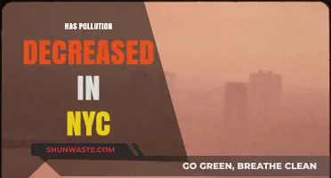 NYC Pollution: A Declining Trend?