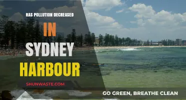 Sydney Harbour's Pollution: A Historical Perspective
