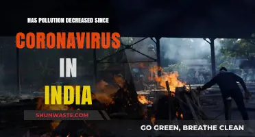 India's Environment: Post-COVID-19 Pollution Levels
