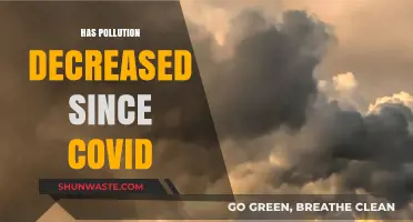 Lockdown's Impact: Pollution Levels Plummet