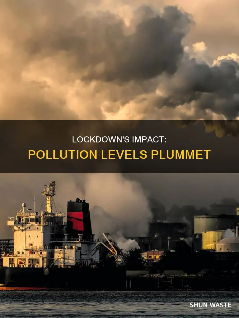 has pollution decreased since covid