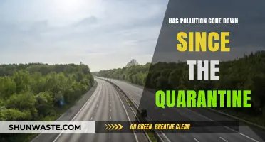 Quarantine's Impact: Pollution Levels Drop
