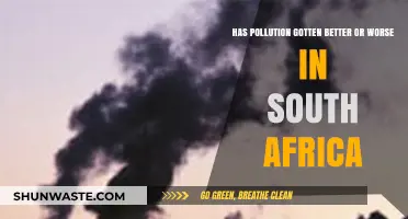 South Africa's Pollution: Better or Worse?