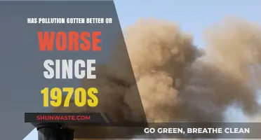 Pollution's Evolution: Better or Worse Since the 1970s?