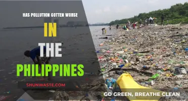 Philippines Pollution Crisis: Is It Getting Worse?