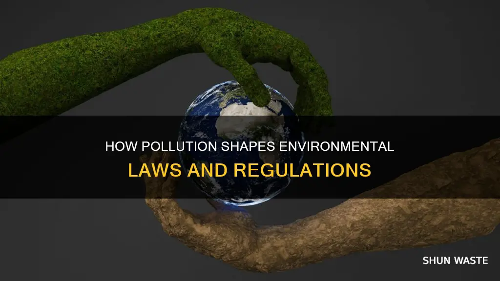 has pollution influenced the making of laws or regulations