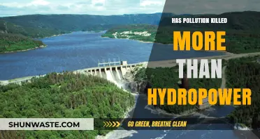 Hydropower's Pollution Paradox: A Deadly Trade-off?