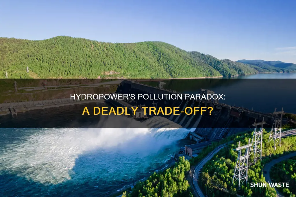 has pollution killed more than hydropower