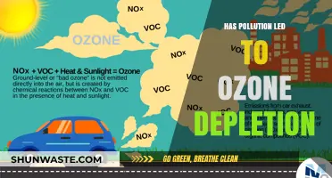 The Impact of Pollution on Ozone Depletion