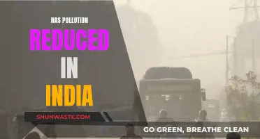 Air Quality in India: Pollution Levels Declining?