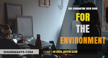 Quarantine's Environmental Impact: A Silver Lining Amidst the Pandemic?