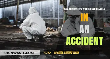Radioactive Waste Release: Accident Risks and Environmental Impact Explored