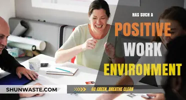 Cultivating a Positive Work Environment: Strategies for Success and Satisfaction