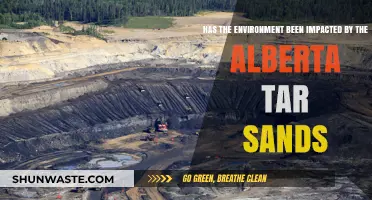 Alberta Tar Sands: Environmental Impact and Ecological Consequences Explored