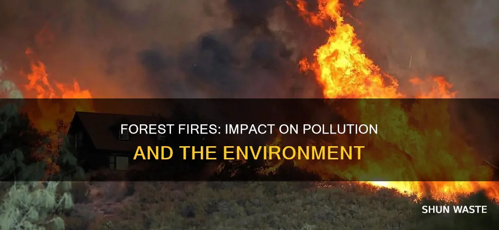 has the increase in forest fires increased pollution